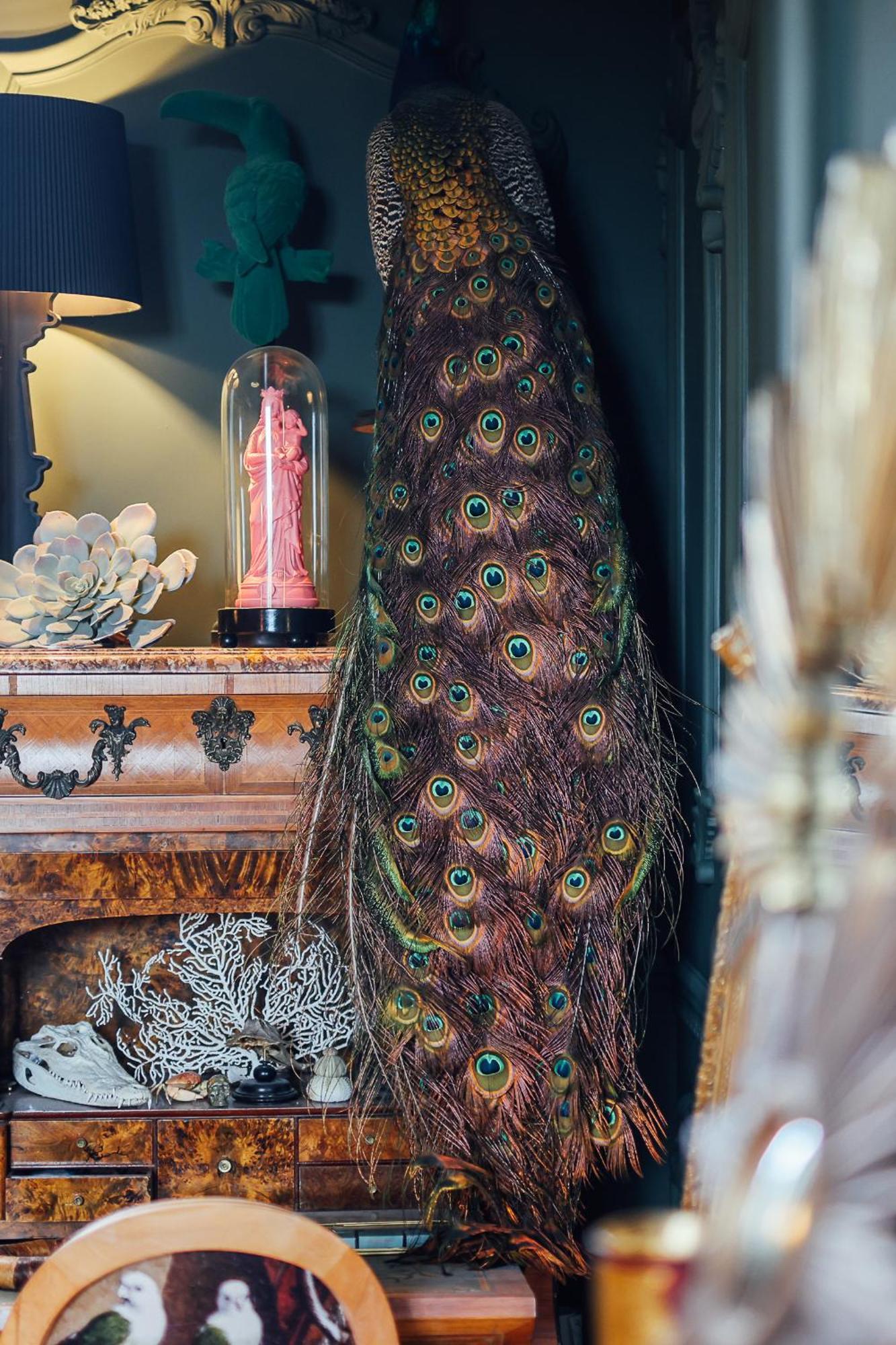Malouiniere Guillaume Onffroy Bed & Breakfast Saint-Malo Dış mekan fotoğraf